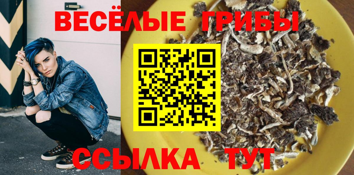 Галлюциногенные грибы мицелий  Вход с VPN  Будённовск 
