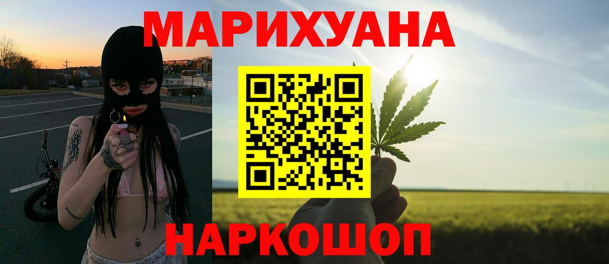 Марихуана тримм  Вход с VPN  Будённовск  Марихуана Bruce Banner  Бошки марихуана конопля 